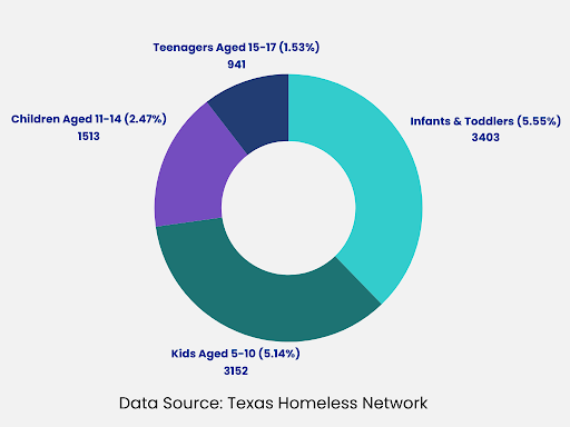 data source - texas homeless network